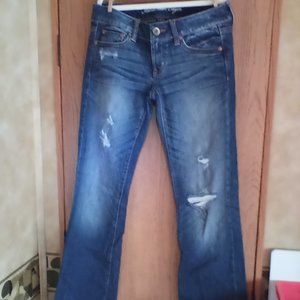 American Eagle Favorite Boyfriend Denim Jeans